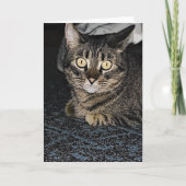 Tabby Cat Kaart (Voorkant)