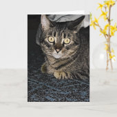 Tabby Cat Kaart (Gele Bloem)