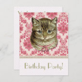 Tabby cat kaart (Voorkant / Achterkant)