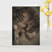 Tabby Cat Kaart (Gele Bloem)