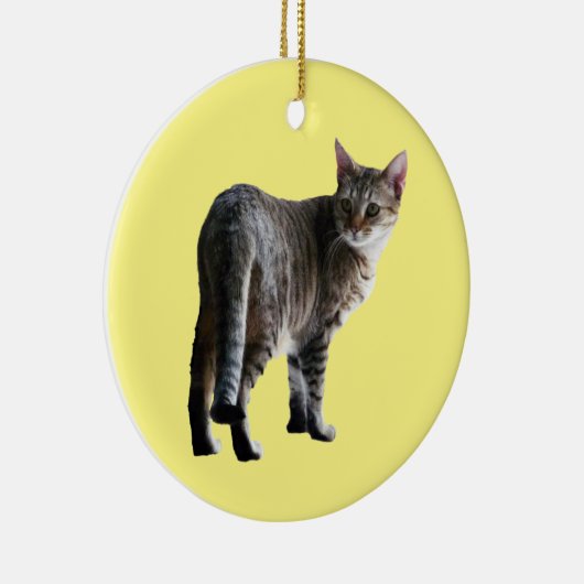 Tabby Cat Keramisch Ornament (Rechts)