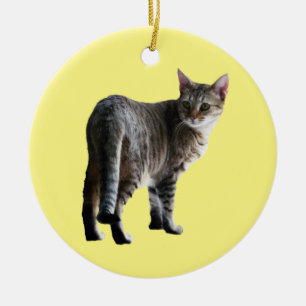 Tabby Cat Keramisch Ornament