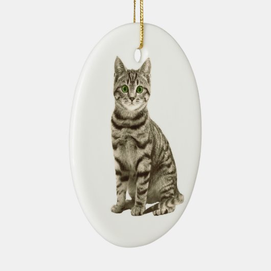 Tabby Cat Keramisch Ornament (Rechts)