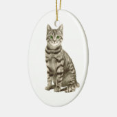 Tabby Cat Keramisch Ornament (Links)