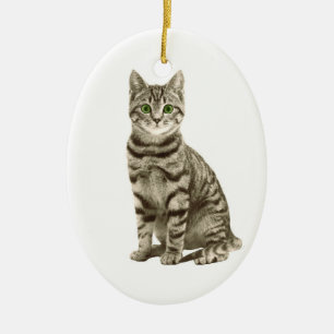 Tabby Cat Keramisch Ornament
