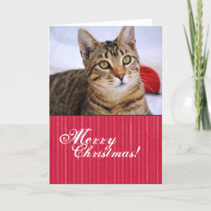 Tabby Cat-kerstkaart Feestdagen Kaart