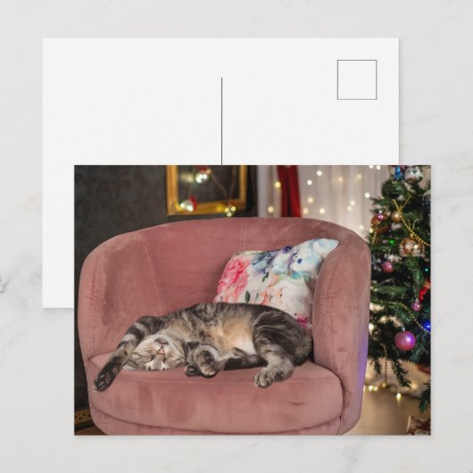Tabby Cat Kerstmis Snooze Briefkaart (Voorkant / Achterkant)