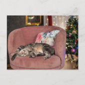 Tabby Cat Kerstmis Snooze Briefkaart (Voorkant)