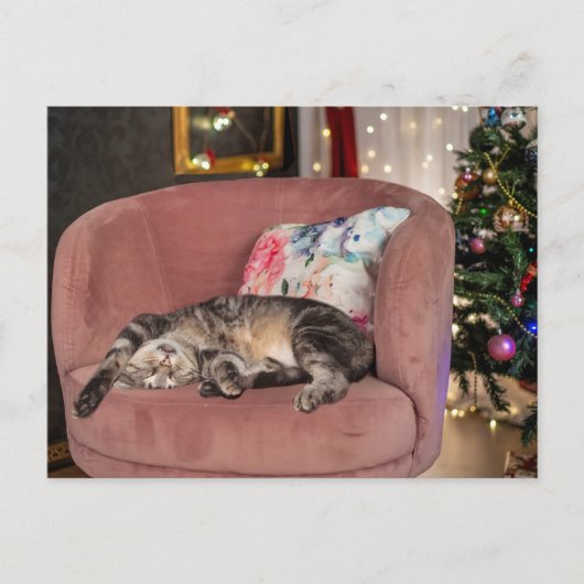 Tabby Cat Kerstmis Snooze Briefkaart (Voorkant)