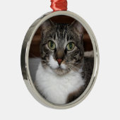 Tabby Cat Kijkend naar je foto Metalen Ornament (Rechts)