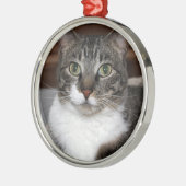 Tabby Cat Kijkend naar je foto Metalen Ornament (Links)
