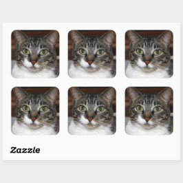 Tabby Cat Kijkend naar je foto Vierkante Sticker
