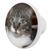 Tabby Cat Kijkend naar You Pet Animal Photography Keramische Knop (Rechts)
