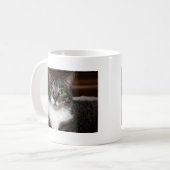 Tabby Cat Kijkend naar You Pet Animal Photography Koffiemok (Voorkant links)