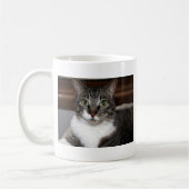 Tabby Cat Kijkend naar You Pet Animal Photography Koffiemok (Links)