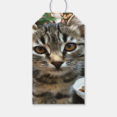 Tabby Cat Kitten die oog contact maken Cadeaulabel (Voorkant)