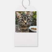 Tabby Cat Kitten die oog contact maken Cadeaulabel (Achterkant)