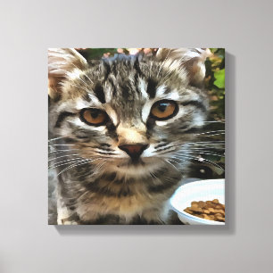 Tabby Cat Kitten die oog contact maken Canvas Afdruk