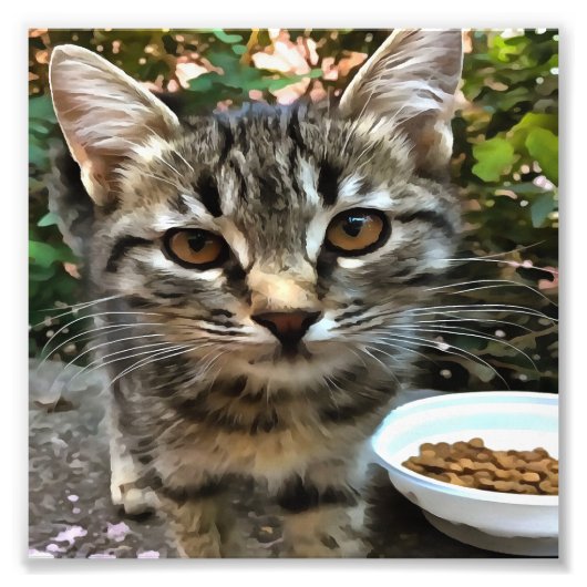 Tabby Cat Kitten die oog contact maken Foto Afdruk (Voorkant)