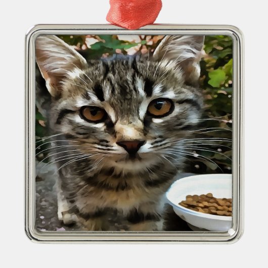 Tabby Cat Kitten die oog contact maken Metalen Ornament (Voorkant)