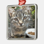 Tabby Cat Kitten die oog contact maken Metalen Ornament (Links)