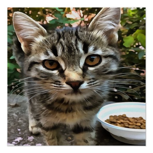 Tabby Cat Kitten die oog contact maken Poster (Voorkant)