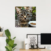 Tabby Cat Kitten die oog contact maken Poster (Thuiskantoor)