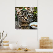 Tabby Cat Kitten die oog contact maken Poster (Keuken)