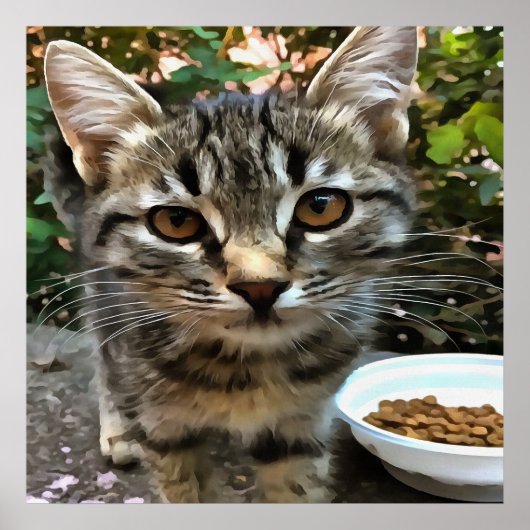 Tabby Cat Kitten die oog contact maken Poster (Voorkant)