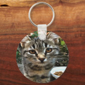 Tabby Cat Kitten die oog contact maken Sleutelhanger (Voorkant)