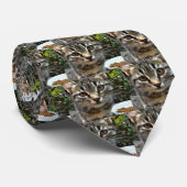 Tabby Cat Kitten die oog contact maken Stropdas (Opgerold)