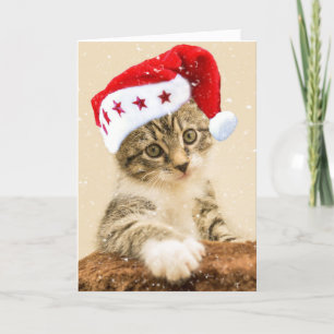 TABBY CAT KITTEN MEOWY CHRISTMAS KAART