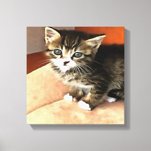 Tabby Cat Kitten Pet Portret Canvas Afdruk (Voorkant)