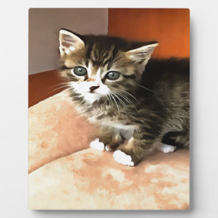 Tabby Cat Kitten Pet Portret Fotoplaat