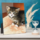 Tabby Cat Kitten Pet Portret Fotoplaat (Zijkant)