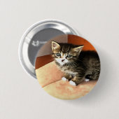 Tabby Cat Kitten Pet Portret Ronde Button 5,7 Cm (Voorkant /achterkant)