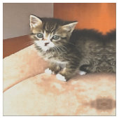 Tabby Cat Kitten Pet Portret Stof (Close Up)