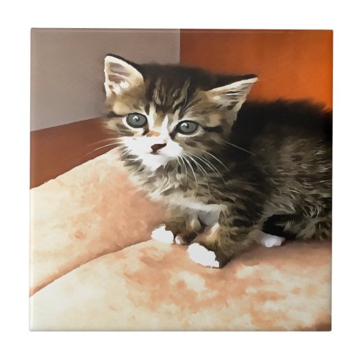 Tabby Cat Kitten Pet Portret Tegeltje (Voorkant)