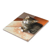 Tabby Cat Kitten Pet Portret Tegeltje (Zijkant)