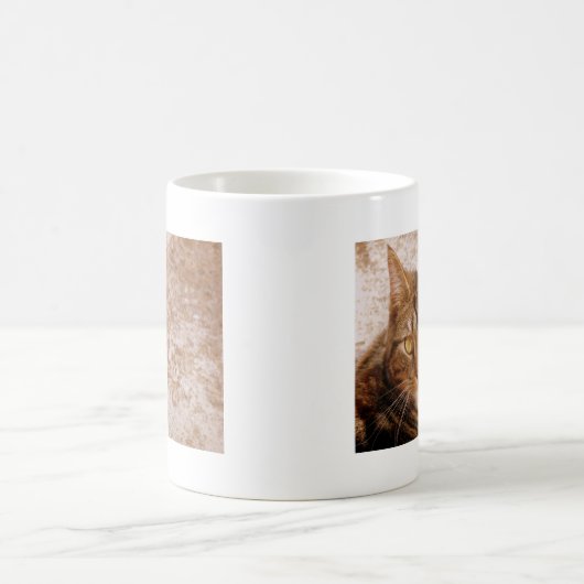 Tabby Cat Koffiemok (Center)