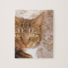 Tabby Cat Legpuzzel
