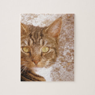Tabby Cat Legpuzzel