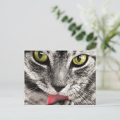 Tabby Cat Licking Paw Briefkaart (Staand voorkant)