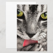 Tabby Cat Licking Paw Briefpapier (Voorkant / Achterkant)