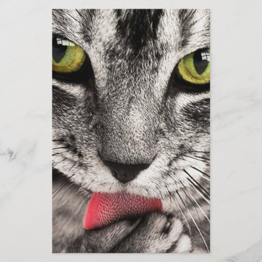 Tabby Cat Licking Paw Briefpapier (Voorkant)