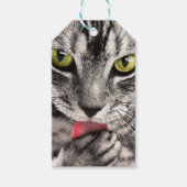 Tabby Cat Licking Paw Cadeaulabel (Voorkant)