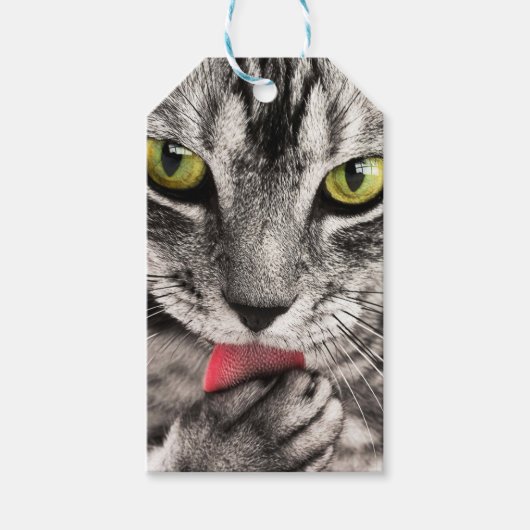 Tabby Cat Licking Paw Cadeaulabel (Voorkant)