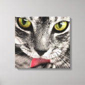Tabby Cat Licking Paw Canvas Afdruk (Voorkant)