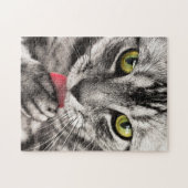 Tabby Cat Licking Paw Legpuzzel (Horizontaal)