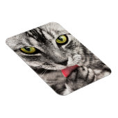 Tabby Cat Licking Paw Magneet (Rechterzijde)